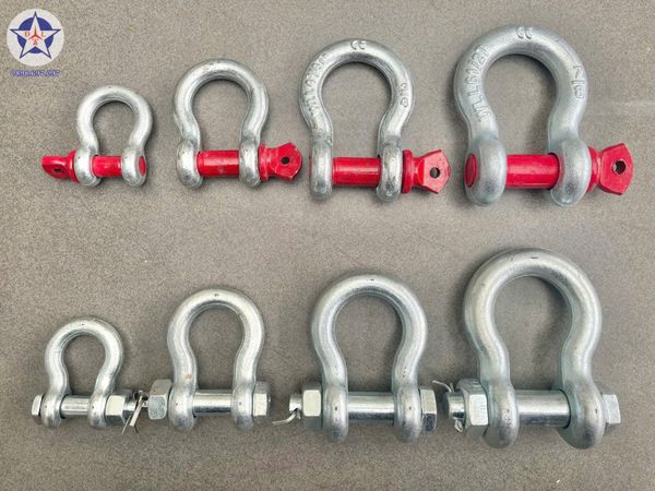  Mã ní (CK) các loại 