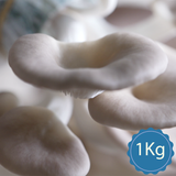  Nấm Bào Ngư Xám - Loại 1Kg 