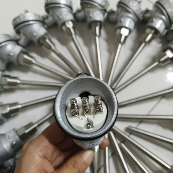  Can dò nhiệt củ hành PT100 