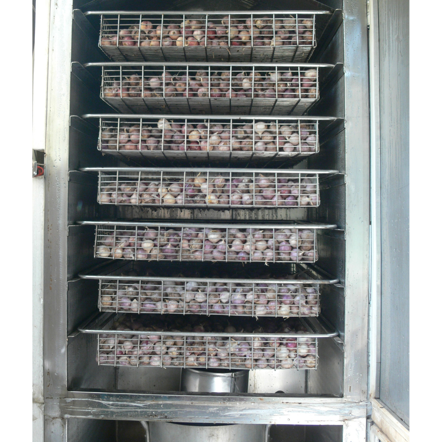 Tủ sấy tỏi lên men