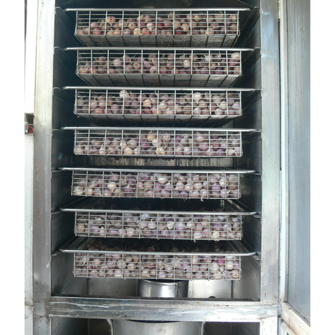  Tủ sấy tỏi lên men 