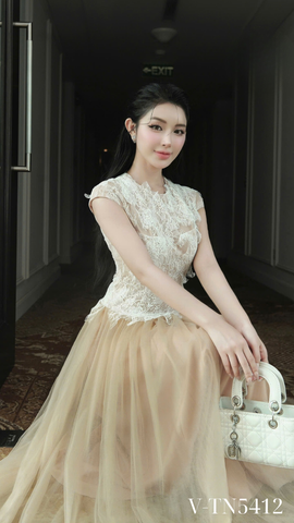 Váy lưới phối ren