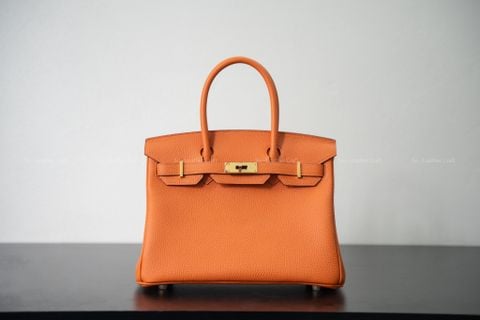 BIRKIN 30 - CAM