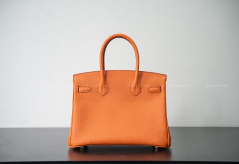 BIRKIN 30 - CAM