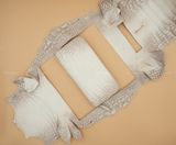 Ví Da Nữ - Da Cá Sấu - Himalaya