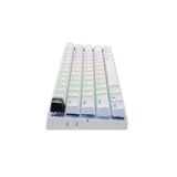  Bàn phím cơ Logitech Pro X 60 Lightspeed Wireless White (Wireless 2.4Ghz/Bluetooth/USB/GX Optical Tactile/RGB) 