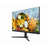  Màn hình Hikvision DS-D5024FN10 (23.8 inch/FHD/VA/75Hz/5ms) 