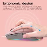  Chuột V200 LED RGB 