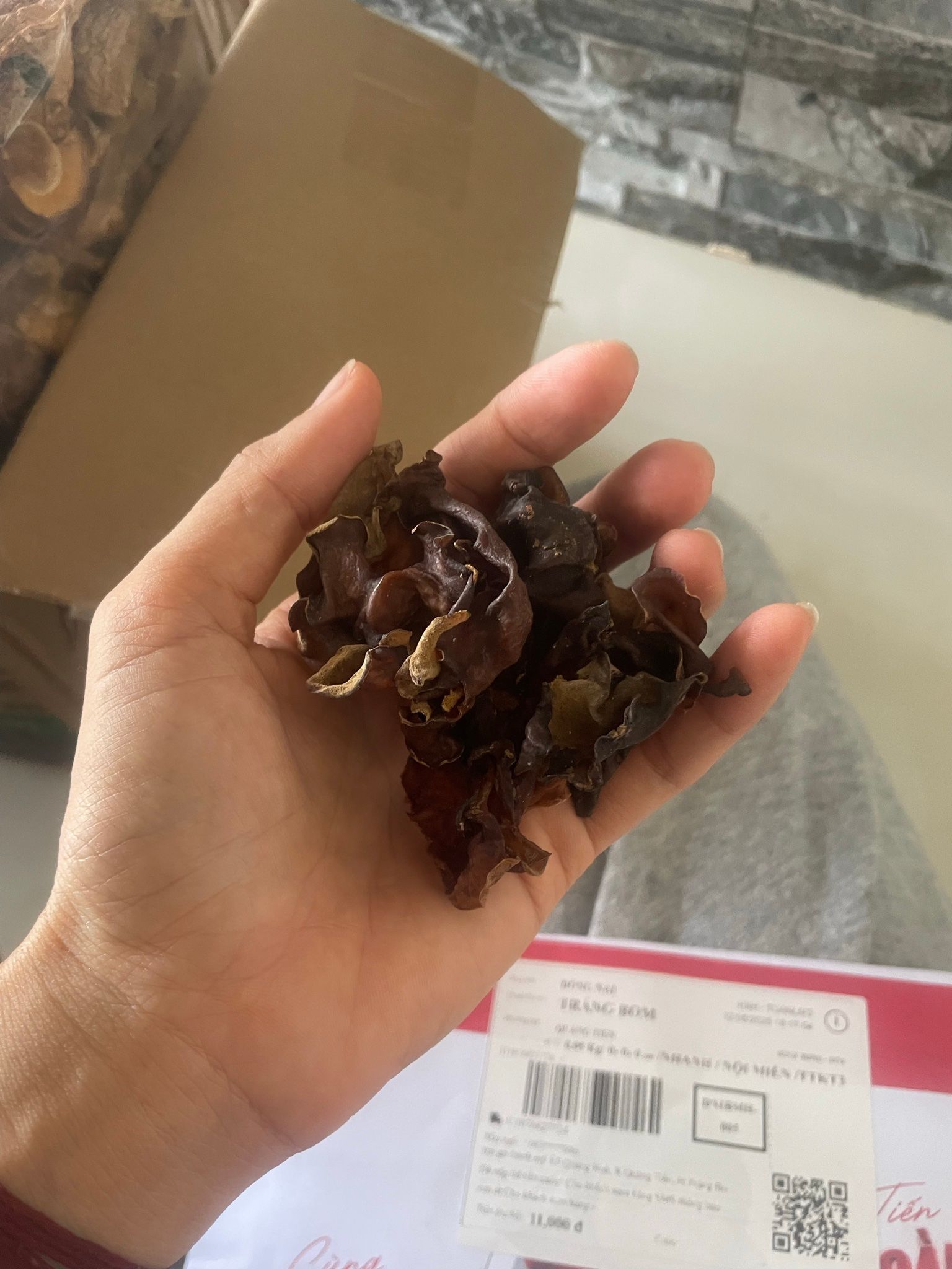  Nấm mèo rừng tai nhỏ 