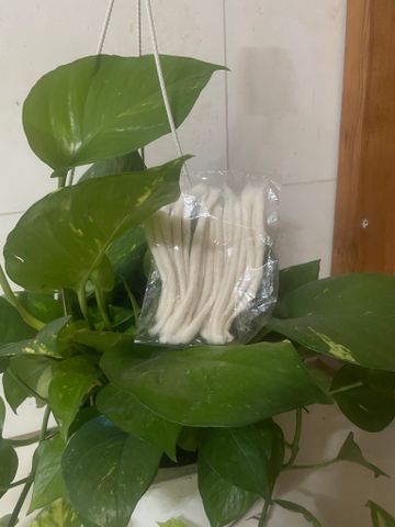  Bấc ,tim đèn coton (gói 20sợi tầm 1m7) 