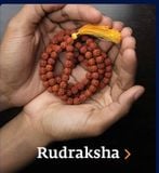  Chuỗi kim cang (rudak )người lớn, đeo cổ, đã thánh hiến 