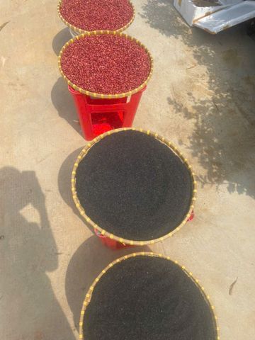  Mè đen thái bình ( vừng ) giống cũ , không thuốc gì . 