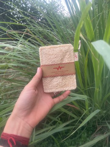  Miếng rửa chén bát, tắm bằng sơ mướp. 