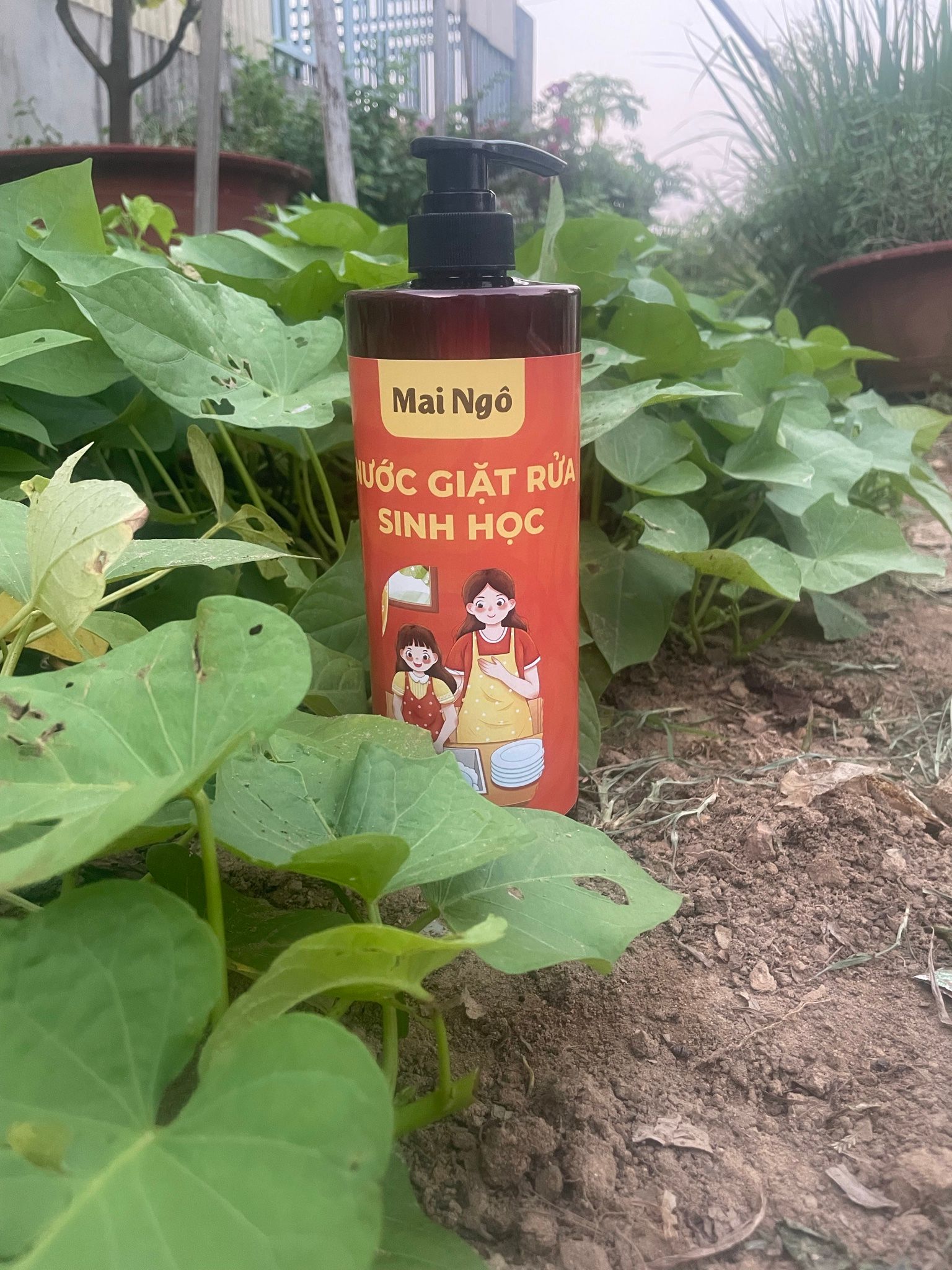  Nước giặt làm sạch nấm CANDIDA 99% và vi khuẩn , đồ baby, lót , rửa chén ( em làm ) 