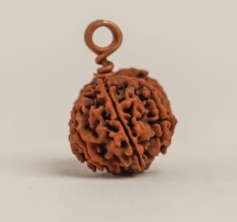  Hạt Rudraksha Shanmukhi (sáu mặt) .được thánh hiến cho trẻ em dưới 14 tuổi,bảo vệ năng lượng. 
