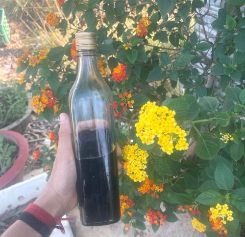  NƯỚC MẮM NGUYÊN CHẤT – ĐẬM ĐÀ TỪ BIỂN CẢ 