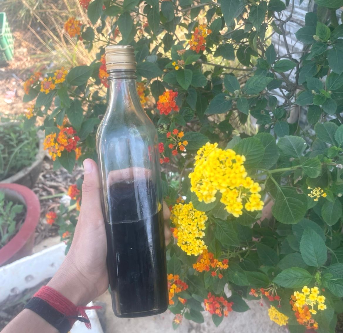  Nước mắm nguyên chất phan thiết em trai làm. 