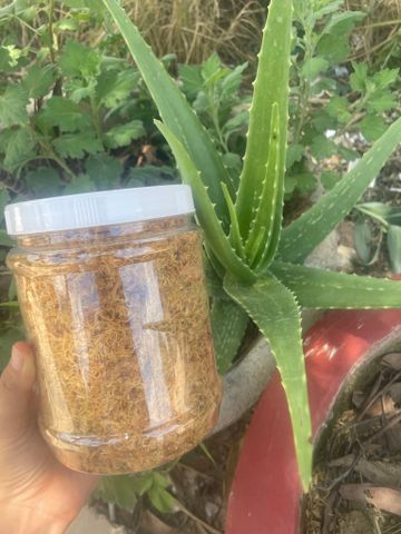  Chà bông em làm . 