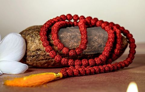  Hạt rudraksha chuỗi ( chuỗi kim cang )người lớn, đeo cổ, đã thánh hiến, là cái kén bảo vệ năng lượng của bạn . 