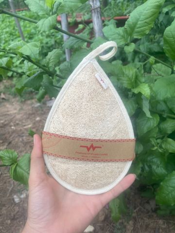  Miếng rửa chén bát, tắm bằng sơ mướp. 