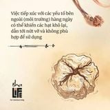  Chuỗi kim cang (rudak )người lớn, đeo cổ, đã thánh hiến 