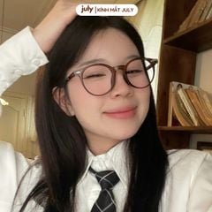 Gọng kính cận nam nữ dáng tròn nhựa cao cấp lõi kim loại unisex hợp nhiều dáng mặt 8613