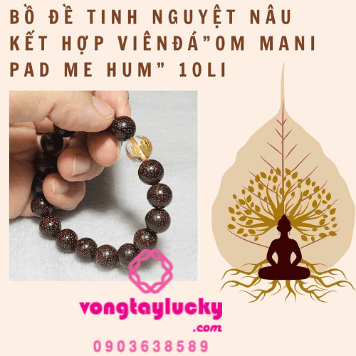 Chuỗi bồ đề tinh nguyệt Tây tạng 10li đeo tay và 108 hạt niệm Phật màu nâu sẩm
