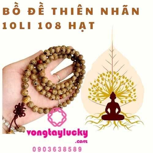 Chuỗi hạt bồ đề Thiên nhãn Tây tạng (Nepal) 10li 108 hạt giống quý