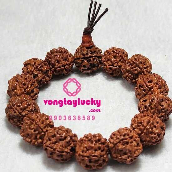 Chuỗi tay kim cang (Rudraksha) Tây tạng hạt 17,5 li=18li 5 múi độc đáo (đeo tay cho Nam lớn), 12li tay nam nhỏ