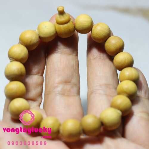 vòng tay gỗ quỷ kiến sầu, vòng tay phong thủy, vòng tay trừ tà, vòng tay nam, quỷ kiến sầu 12li