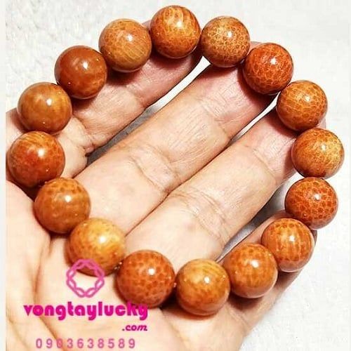 san hô đỏ hóa thạch, san hô đỏ tự nhiên, vòng tay mệnh hỏa, vòng tay mệnh thổ,vòng tay nam nữ, san hô đỏ, san hô đỏ lu thống, vòng tay công giáo, vòng tay trừ tà, vòng tay phong thủy