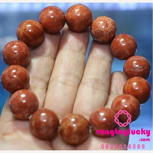 san hô đỏ hóa thạch, san hô đỏ tự nhiên, vòng tay mệnh hỏa, vòng tay mệnh thổ,vòng tay nam nữ, san hô đỏ, san hô đỏ lu thống, vòng tay công giáo, vòng tay trừ tà, vòng tay phong thủy