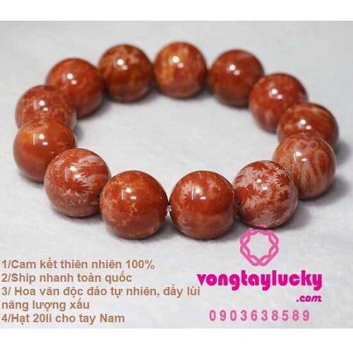 Vòng tay đá san hô đỏ hóa thạch 20li thiên nhiên size lớn cho Nam