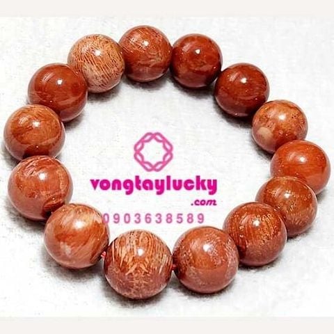 san hô đỏ hóa thạch, san hô đỏ tự nhiên, vòng tay mệnh hỏa, vòng tay mệnh thổ,vòng tay nam nữ, san hô đỏ, san hô đỏ lu thống, vòng tay công giáo, vòng tay trừ tà, vòng tay phong thủy, vòng tay nam