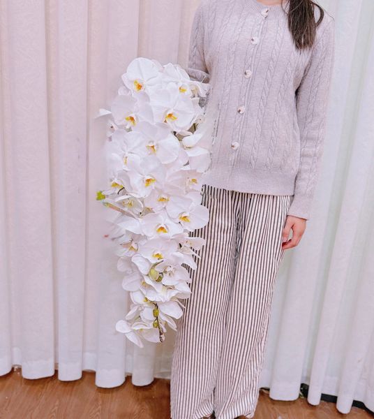  HC - lan hồ điệp 