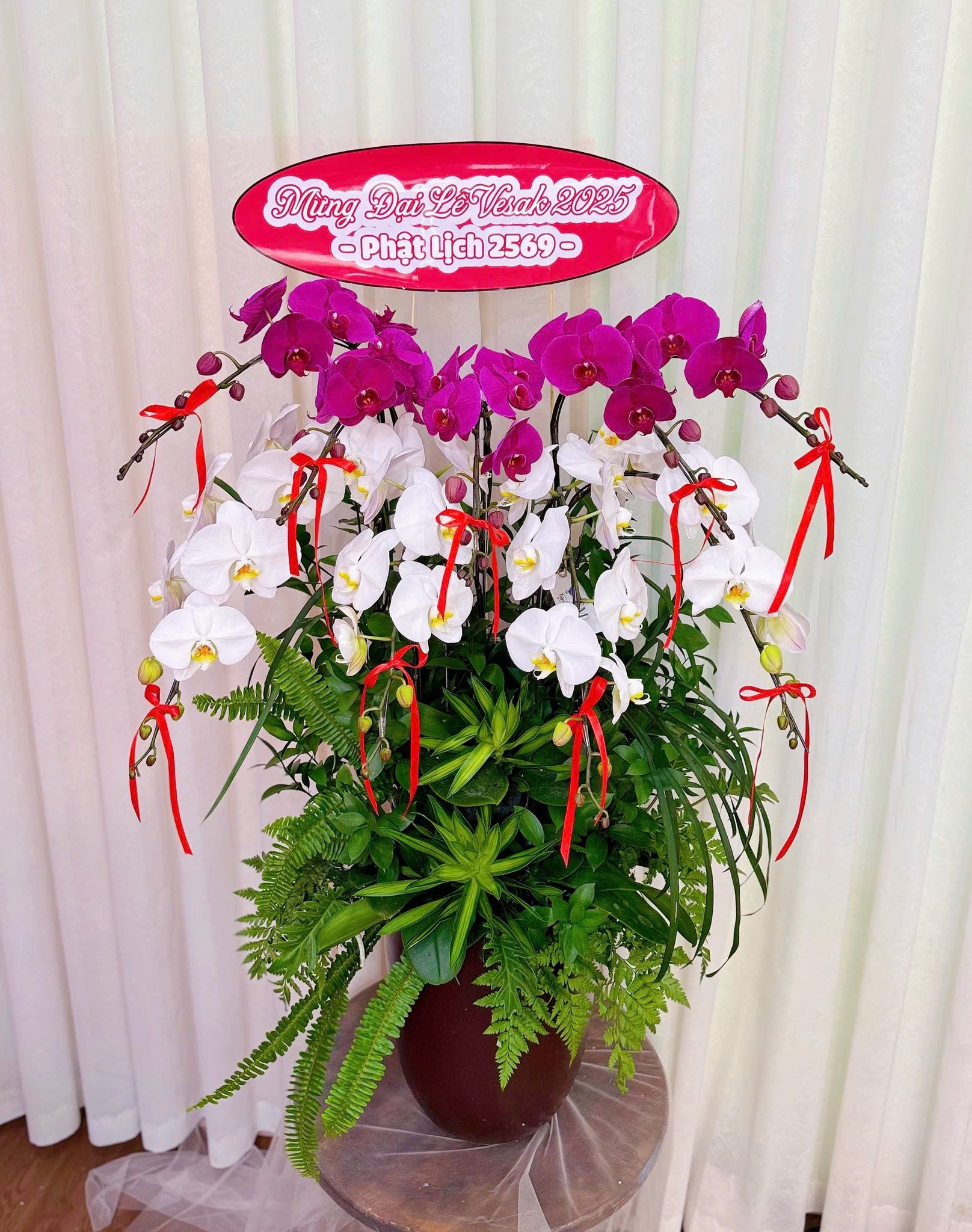  LHĐ - chậu 9 cành phát lộc 