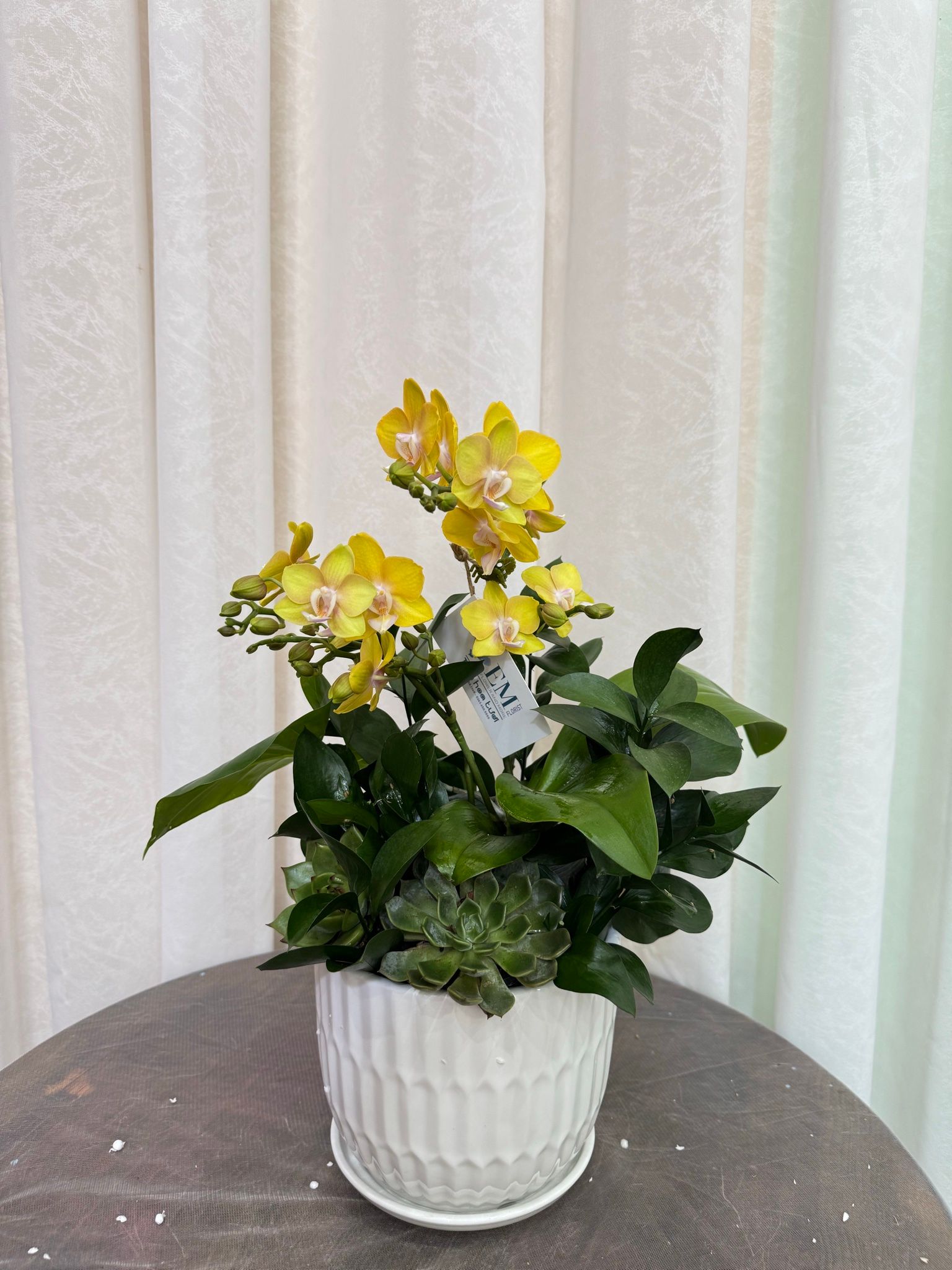  LHĐ - Chậu 2 vòi để bàn thờ 