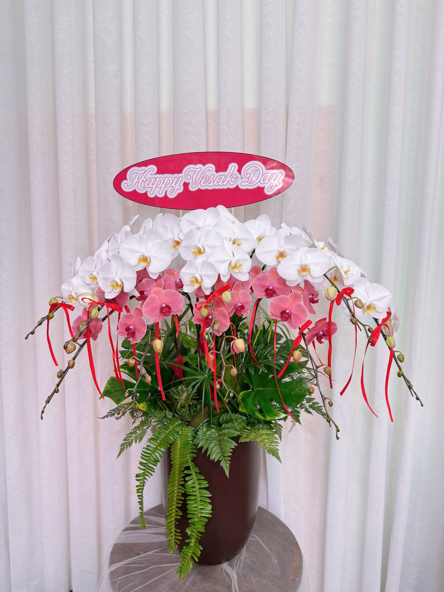  LHĐ - chậu 9 cành phát lộc 