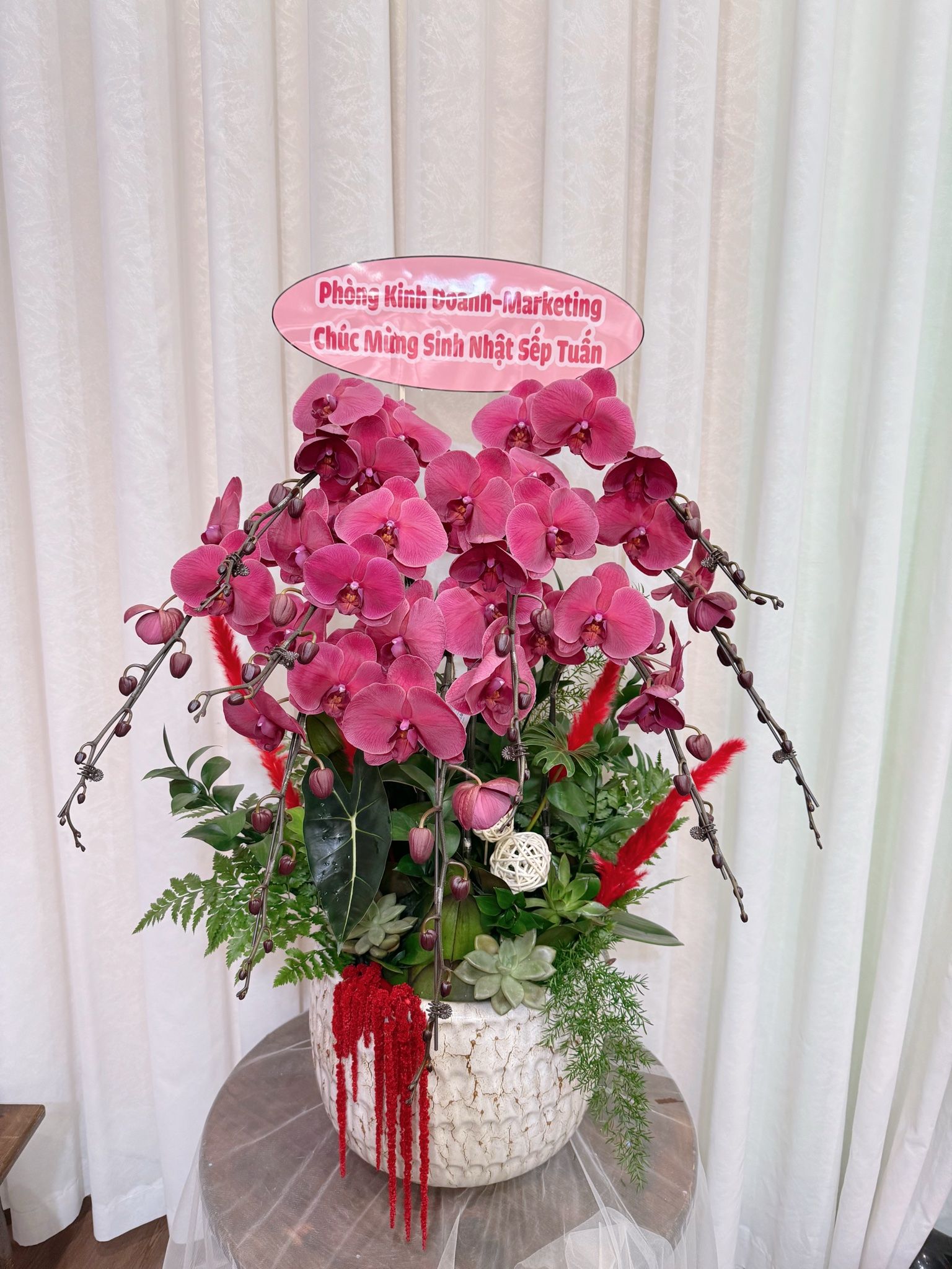  LHĐ - chậu 9 cành phát lộc 