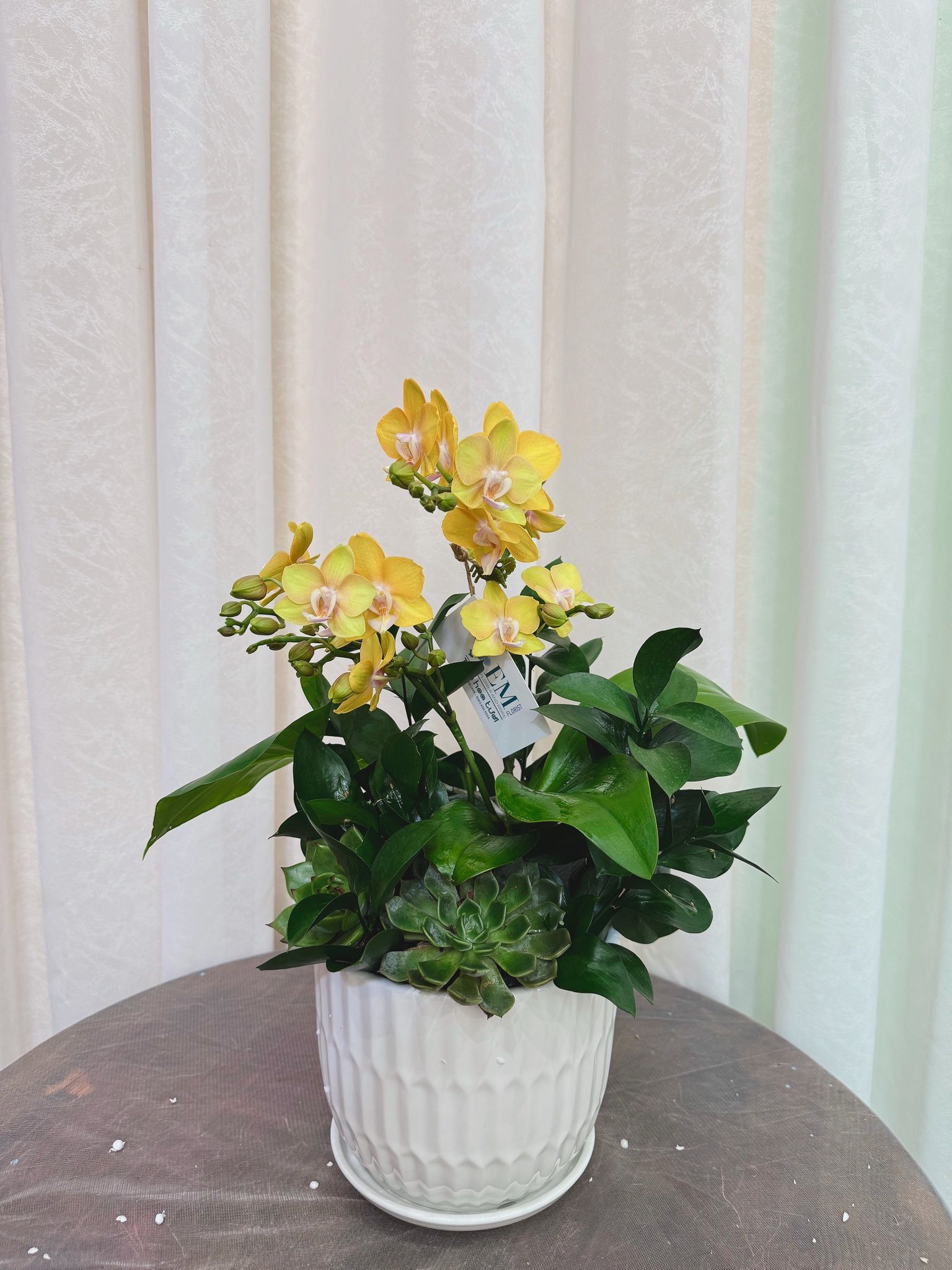  LHĐ - Chậu 2 vòi để bàn thờ 