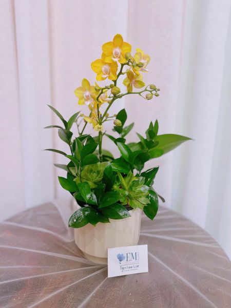  LHĐ - Chậu 2 vòi để bàn thờ 