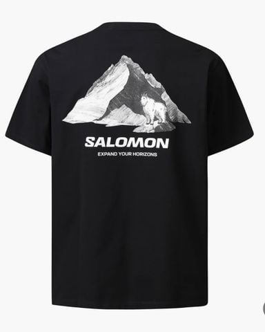 Áo Thun Cá Hồi (Big Size)