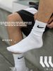 Tất / Vớ Everyday Crew Socks (Pack 3 đôi)