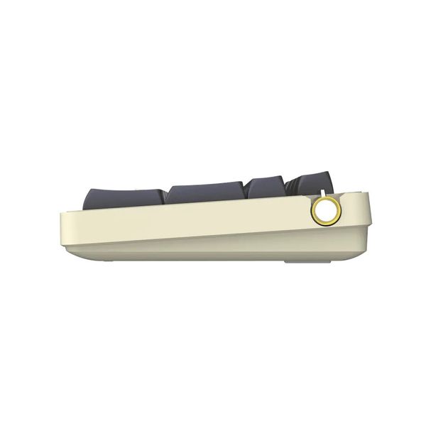 Bàn phím cơ Darkflash DF98 Twilight Wireless / Interstellar