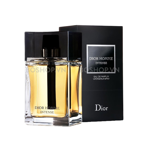 dior homme intese