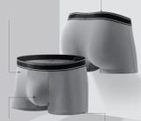  Combo 2 quần lót nam boxer, sịp đùi cotton CB611 