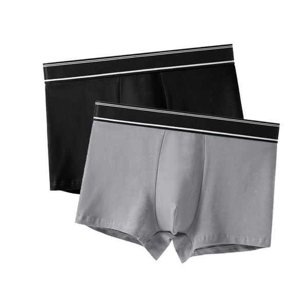  Combo 2 quần lót nam boxer, sịp đùi cotton CB611 
