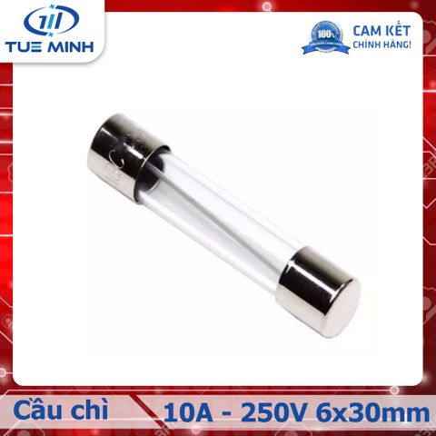 Cầu chì ống 10A 250V kích thước 6 x 30mm
