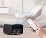 Loa Karaoke BMB CSJ 05A Cao Cấp, Loa Bluetooth, tích hợp Amplifier, Hàng chính hãng BMB International Japan