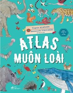  ATLAS MUÔN LOÀI 